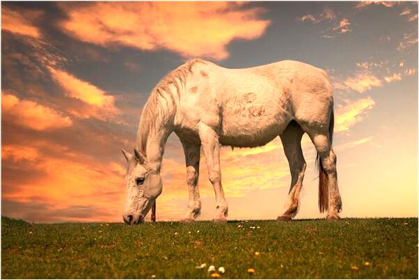 夢到了藍色長裙有什麼預示嗎_周公解夢官網