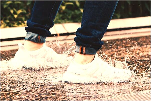 夢到與狗同睡是什麼徵兆_周公解夢官網