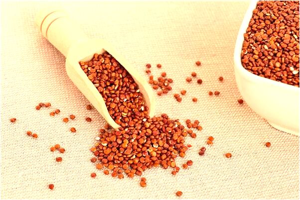 夢到了豬圈蹦出小狗有什麼說法_周公解夢官網