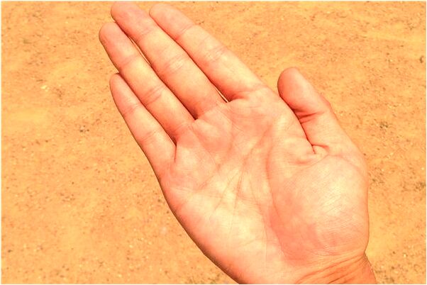 夢到了男朋友和姐姐上床是什麼預兆?_周公解夢官網