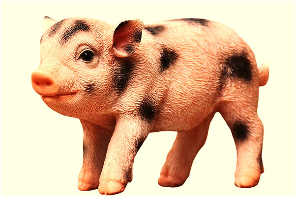 夢見野兔死預兆了什麼嗎_周公解夢官網