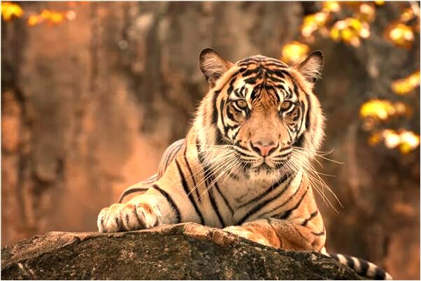 夢到鞋子在高處掉到水裡沖走了有什麼意義嗎_周公解夢官網