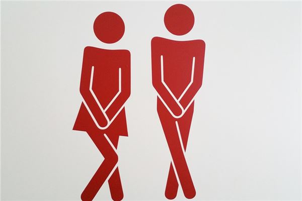 夢到老婆上廁所預示了什麼_周公解夢