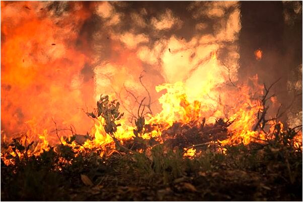 夢見沒吃到飯是什麼意思_周公解夢官網