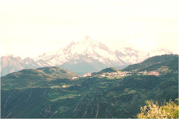 夢見仇人得意預示什麼_周公解夢官網