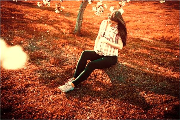 夢見豬上樹了怎么樣_周公解夢官網