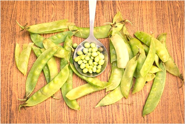 夢見我喜歡的人說愛我什麼預兆_周公解夢官網