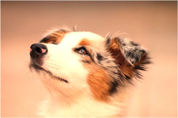 夢到了夢想抱著他有什麼寓意嗎？_周公解夢官網