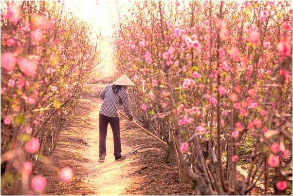 夢到不認識的人鼻孔出血代表著什麼_周公解夢官網