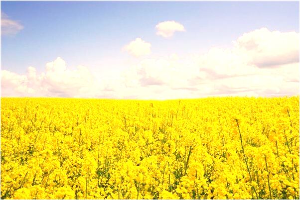 夢到工作上調好不好_周公解夢官網