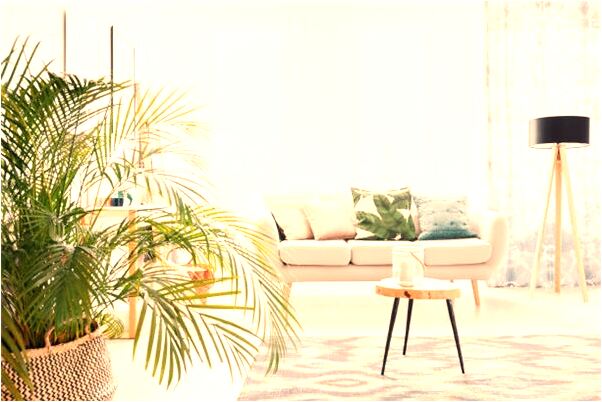 夢見交辦工作有什麼意思_周公解夢官網