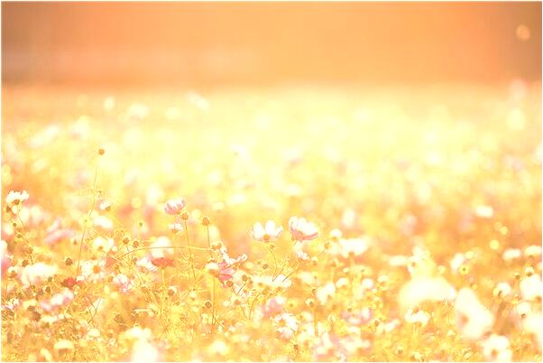 夢到了抱小孩頭髮上有米飯是啥意思_周公解夢官網