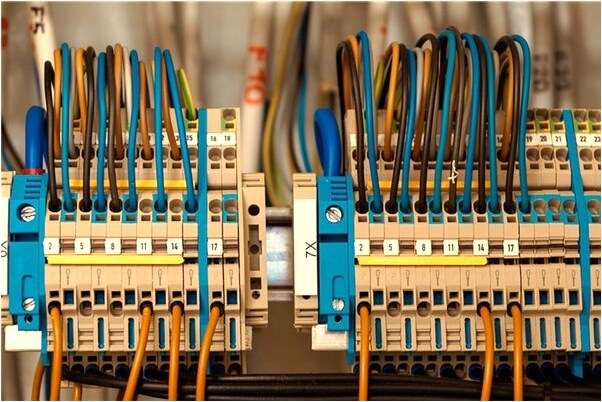 夢到有異性送我非常漂亮的雞會是什麼預兆_周公解夢官網