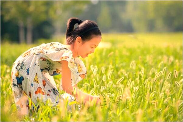 夢到了抱著貓並放進包里是什麼預兆_周公解夢官網