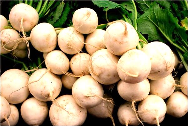 夢到別人的棺材在老家發喪有什麼寓意嗎？_周公解夢官網