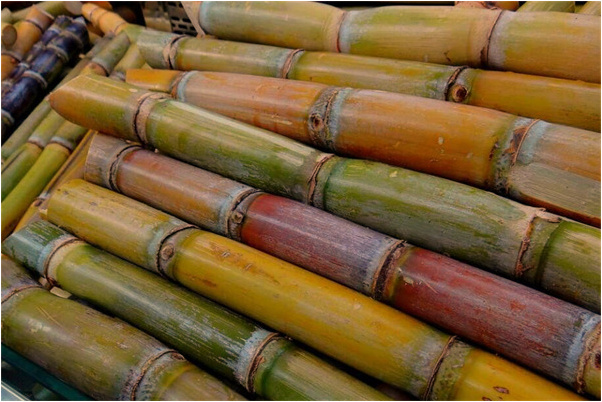 夢見井中水呈深綠色是不是好的徵兆呢_周公解夢官網