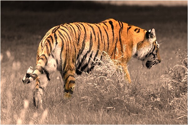 夢到了獨自在樓頂觀察是啥預兆_周公解夢官網