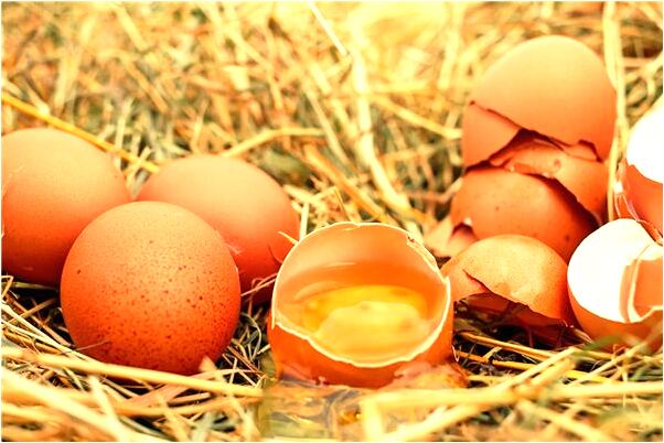 夢到撿到玉珠子怎么回事_周公解夢官網