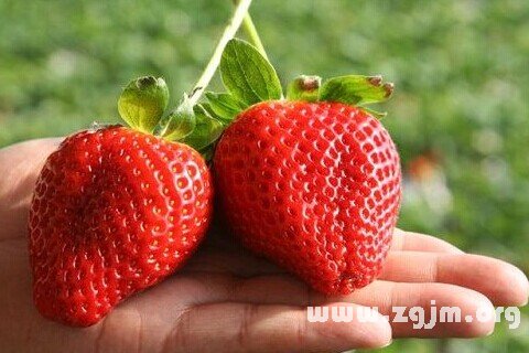 夢見草莓