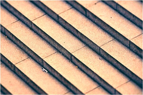 夢到了狗毀莊稼會是什麼預兆_周公解夢官網