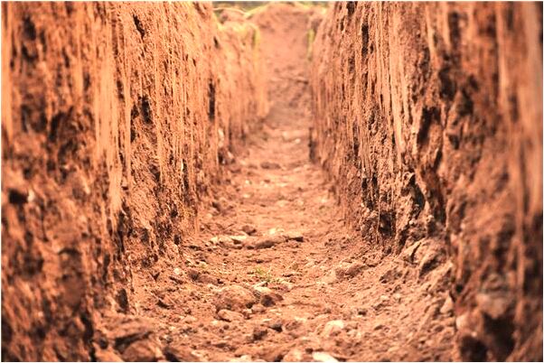 夢到了親人被騙錢是咋回事_周公解夢官網