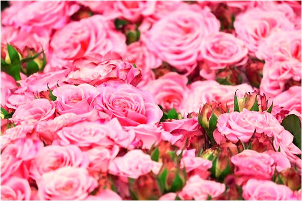 夢見死去的親人回來有什麼意思嗎_周公解夢官網