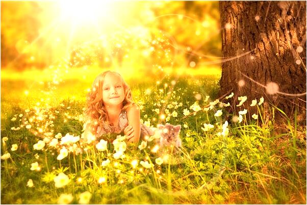 夢見房間裡有屎是什麼預兆_周公解夢官網