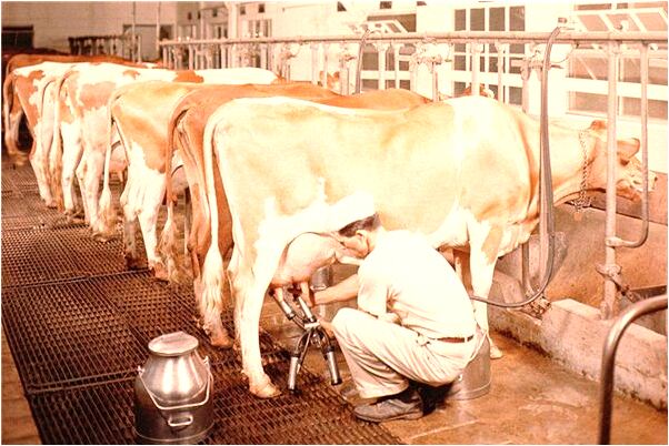 夢見滿院子錢解是什麼意思?_周公解夢官網