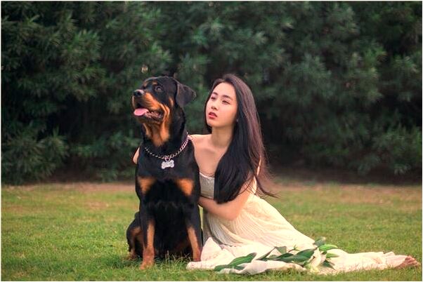 夢見和以前認識的產生情感有什麼預兆_周公解夢官網