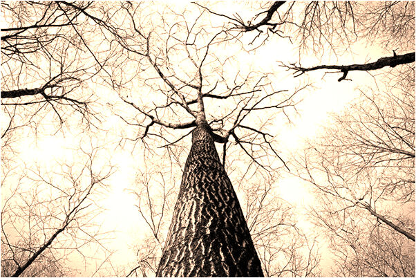 夢到自己頭沒了有什麼寓意嗎_周公解夢官網