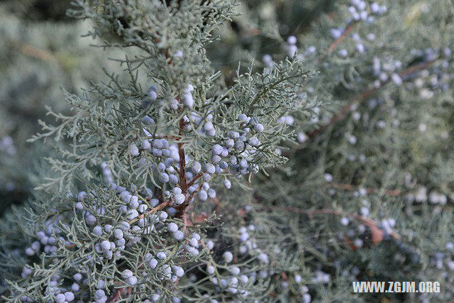 夢見和別人打架自己流血_周公解夢夢到和別人打架自己流血是什麼意思_做夢夢見和別人打架自己流血好不好_周公解夢官網