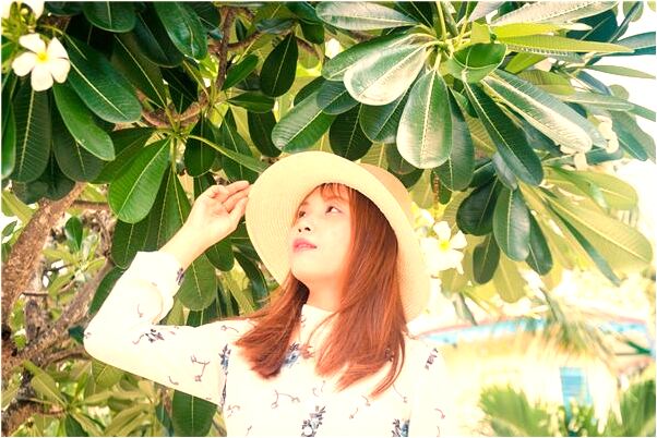 夢見上課少帶了書代表著什麼?_周公解夢官網