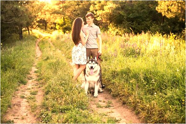 夢見和朋友一家出去玩預示什麼_周公解夢官網