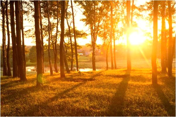 夢到了有大勢力想收服我們啥意思_周公解夢官網