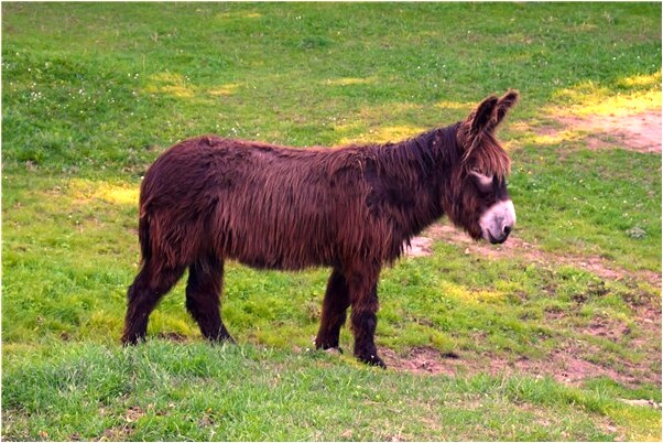 夢見女性朋友脫光上衣是什麼徵兆_周公解夢官網