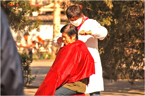 夢到千年死烏龜是什麼意思_周公解夢官網