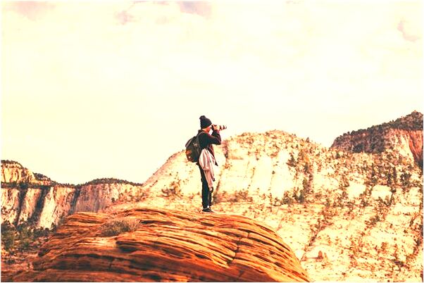 夢到了有人給送雞預示什麼_周公解夢官網