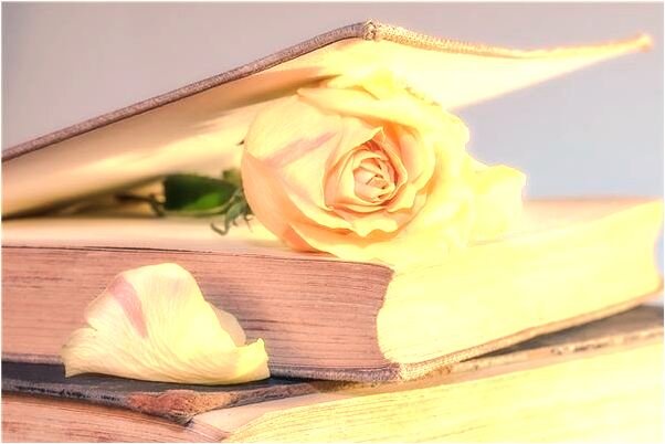 夢見父母數錢是不是好的徵兆呢_周公解夢官網