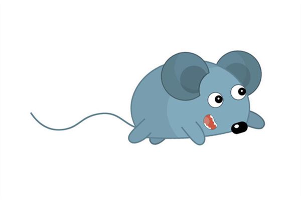 84年屬鼠的人2020年財運_十二生肖