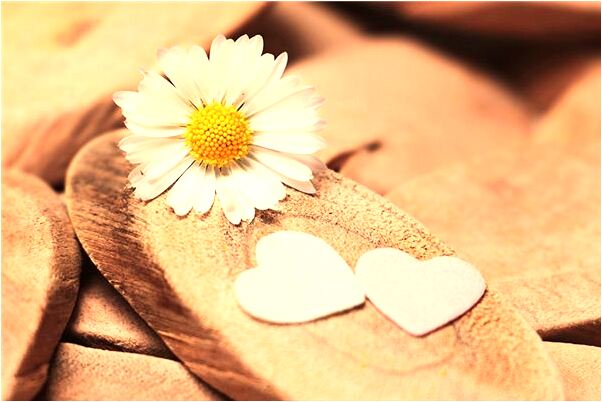 夢到死去的人叫我去代表著什麼？_周公解夢官網