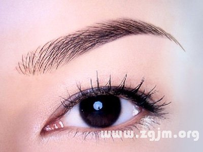 Women's eyebrow like willow