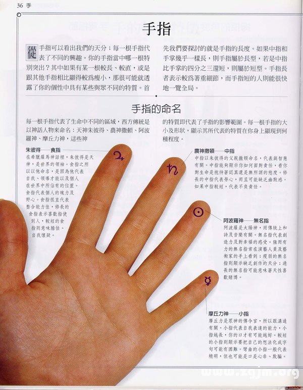 The palms learning encyclopedia: fingers