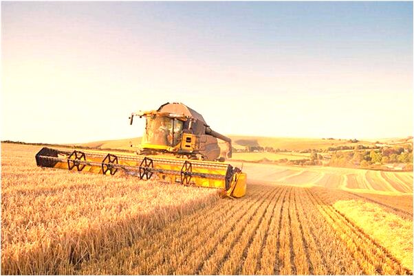 夢到了抱著自己的小孩未婚代表著什麼_周公解夢官網