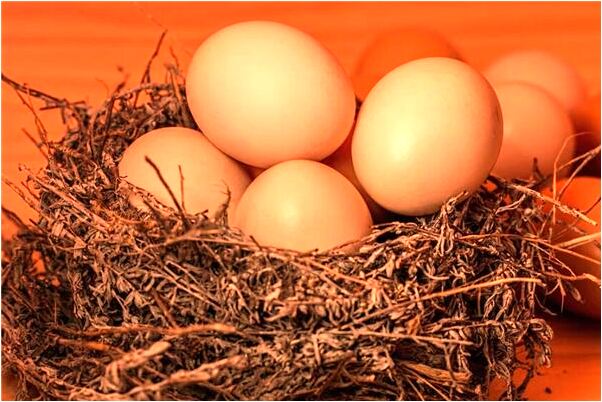 夢到了打牌贏了好多錢意味什麼_周公解夢官網