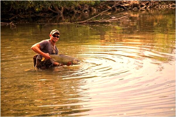 夢見一個小孩掉樓啥意思_周公解夢官網