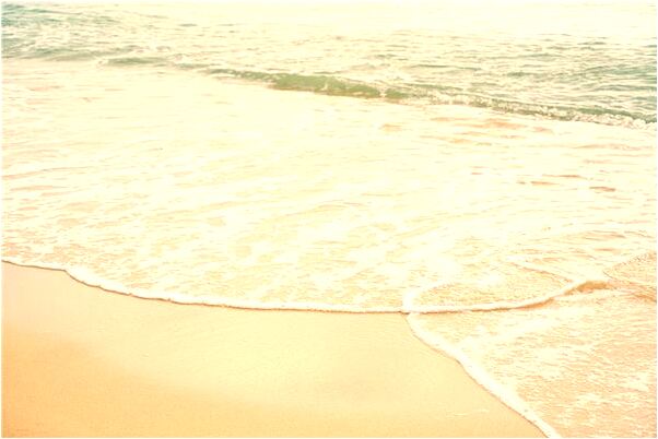 夢到五個藏獒狗會有什麼預兆_周公解夢官網