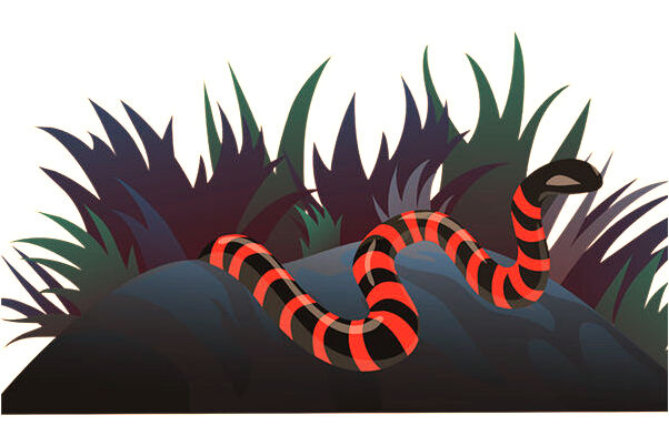 夢見老鼠在身上怎么說_周公解夢官網