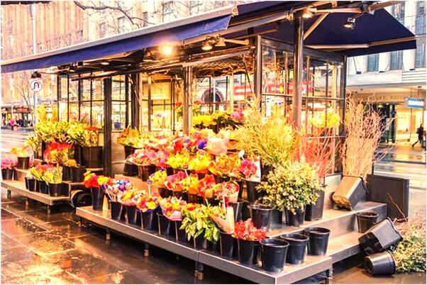 夢見別人把死人蒸熟了是好是壞_周公解夢官網