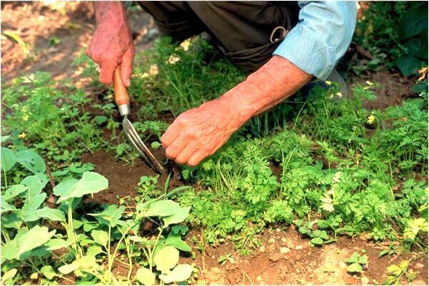 夢到寺院僧人去世會有什麼預兆_周公解夢官網