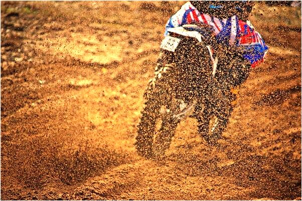 夢到釣魚放了意味著什麼_周公解夢官網